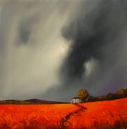 Our Poppy Fields