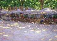 Evening Shadows, Montpelier