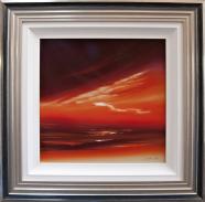Burning Skies