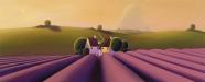Lavender Fields