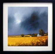 Summer Storm