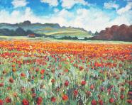 Poppy Meadow